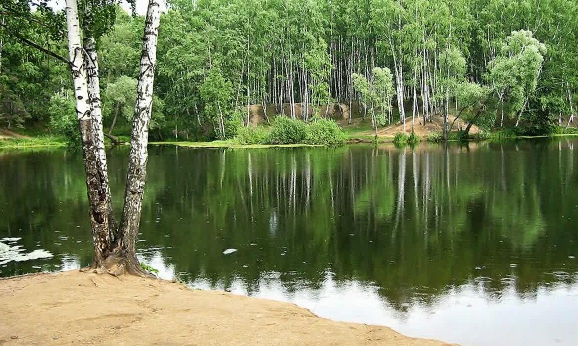 озеро в лесу берега
